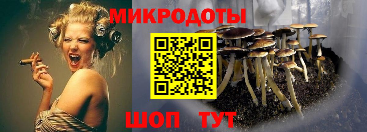 цена   Вход с VPN  Урюпинск  Псилоцибиновые грибы GOLDEN TEACHER 